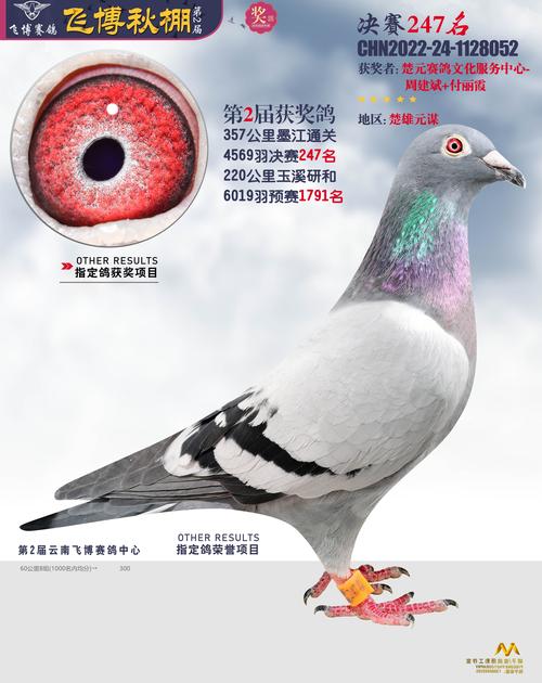 东川飞博公棚决赛247名 -- 中国信鸽协会官方网站