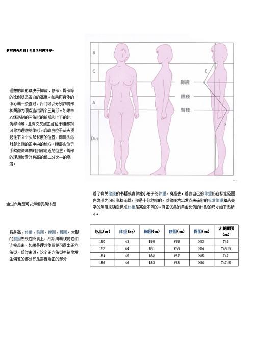 女性标准身材比例对照表docx