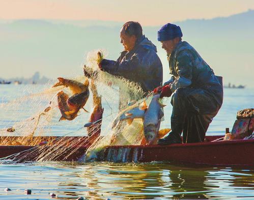 玉溪市举办江川开渔节 一艘艘渔船满载而归
