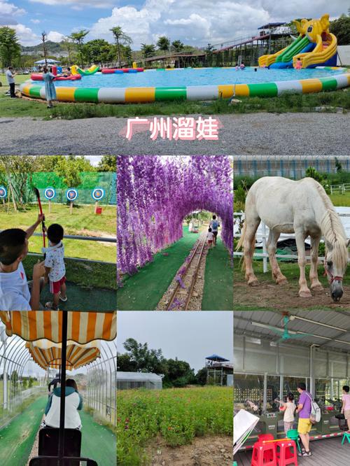 广州溜娃61长洲岛都市农业公园