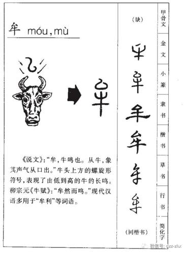 【汉字文化】 有故事的中国字:牛年话牛