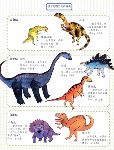 各个时期恐龙的各类图