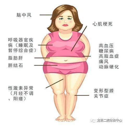 孕前女性肥胖易患:多囊卵巢综合征,不孕女性超重会影响:排卵期,受孕