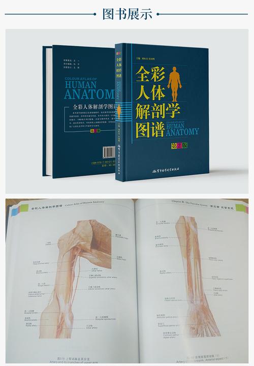 《全彩人体解剖学图谱全彩解刨速记医生用书人体结构彩色书 军事医学