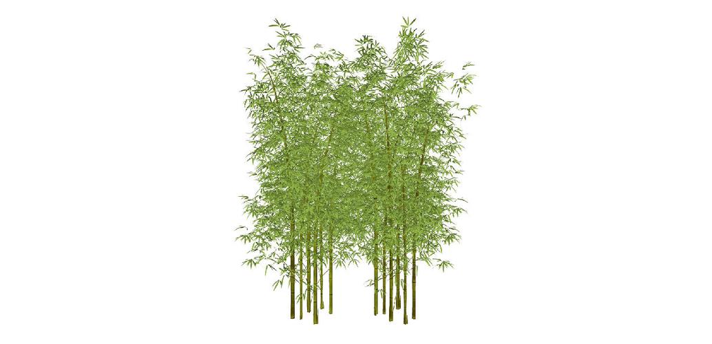 竹子枯山水27绿植青竹su模型