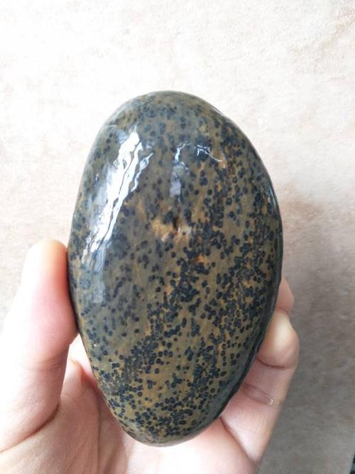 鱼籽石是稀有奇石吗