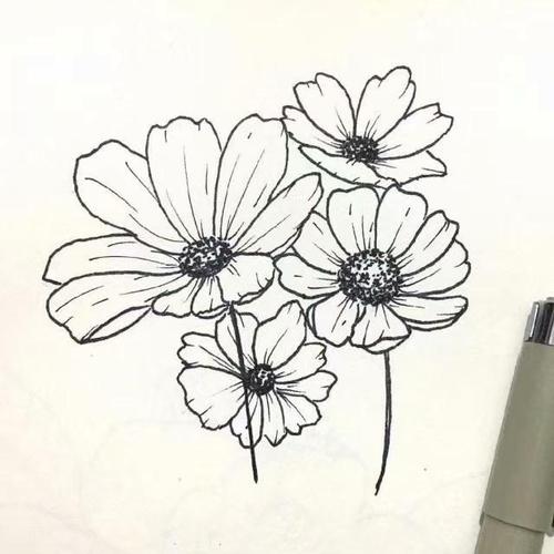 针管笔花卉手绘 简单好看又好画,简单线条让你也能做大神