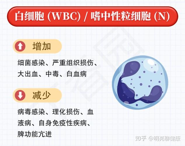 【白细胞数】wbc正常值:成年人4.0~10.0 新生儿15.0~20.