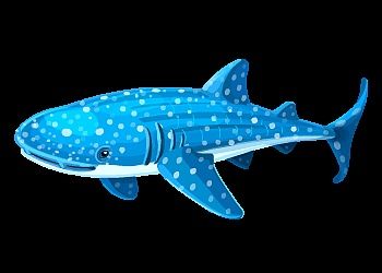 珠海长隆鲸鲨简笔画