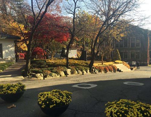 韩国首尔艺术大学相当于国内什么大学