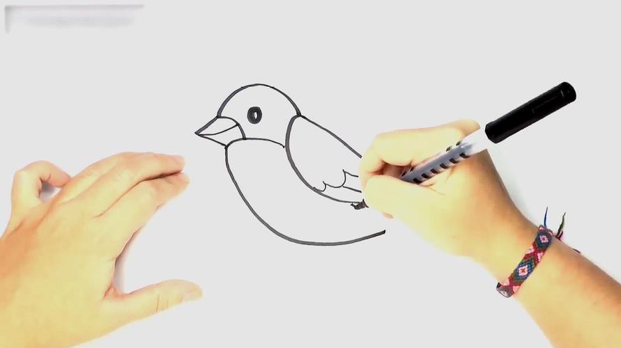 鸟怎么画:如何画一只鸟,真的很简单