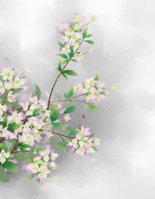 「月上雪」古风插画,水彩花卉,手绘三角梅/叶子花,品种其一:绿叶樱花