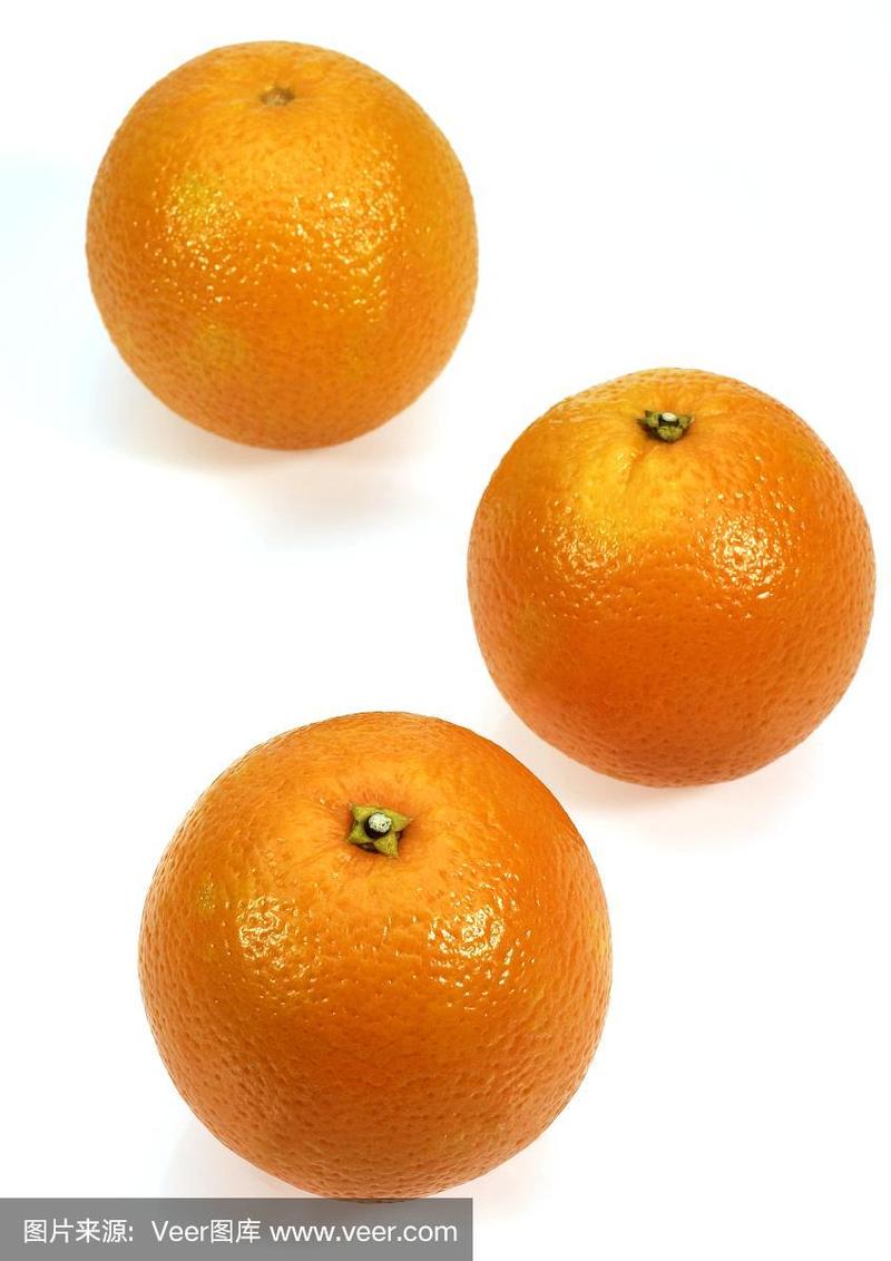 橘子,柑橘,白底水果