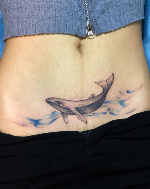 小鲸鱼纹身图片_腹部水墨水彩遮盖伤疤纹身图案