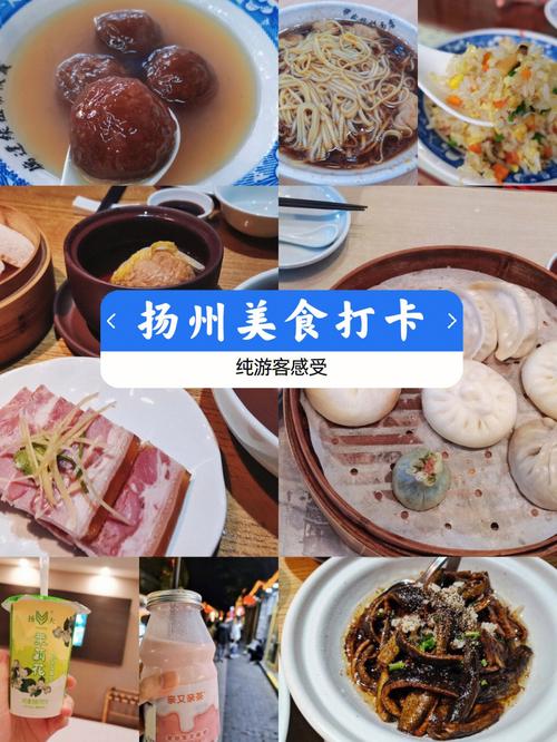 扬州旅游美食