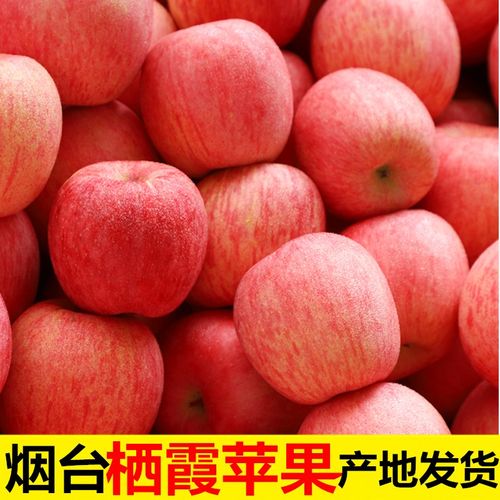 农家红富士糖心整箱山东苹果10栖霞新鲜一级当季水果烟台正宗