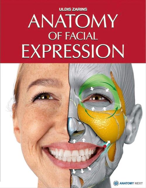 电子书 中文版 英文版 anatomy of facial expression-原画插画-cg
