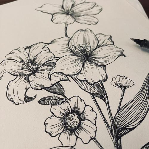 线描花卉