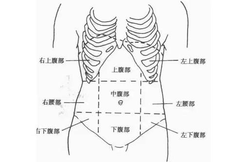 ct及mr扫描——上腹部,中腹部,下腹部的界限如何划分?