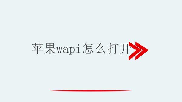 苹果手机启用wapi是什么意思wapi是什么意思