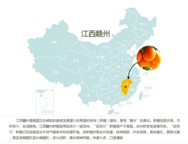 江西赣州特产 原产地新鲜水果橙子 赣南脐橙标准果批发 脐橙直销