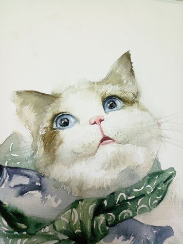 水彩手绘插画 猫咪