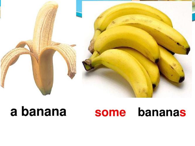 banana怎么读音发音英语
