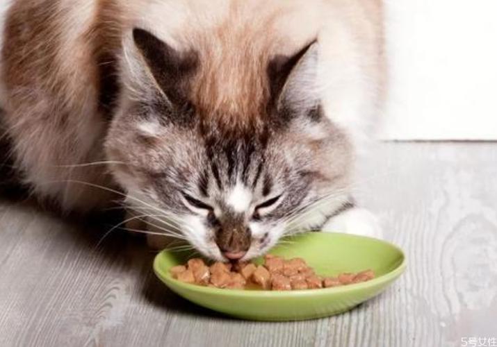 三个月小猫一天吃多少猫粮 幼猫粮30g是多少粒