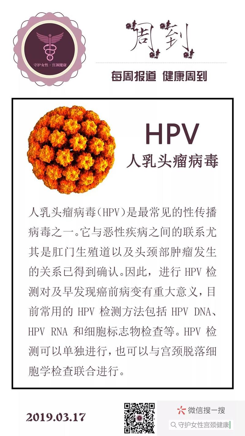 「周到」(一)人乳头瘤病毒(hpv)