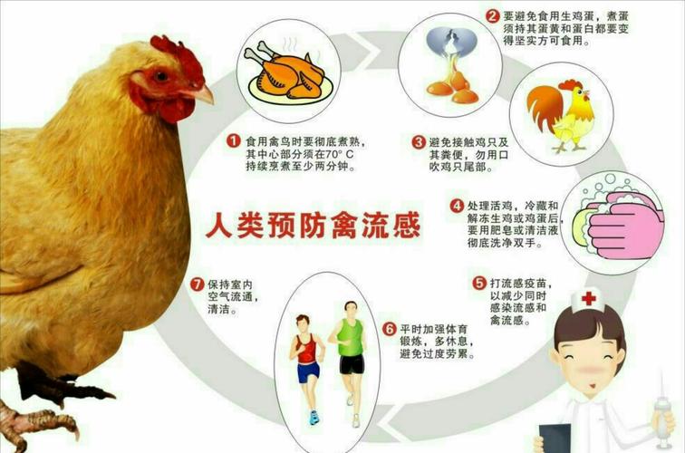 达拉特旗白柜幼儿园--h7n9禽流感预防措施宣传