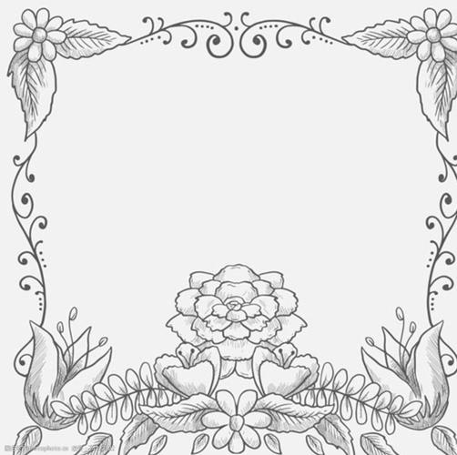 手绘素描花卉框架