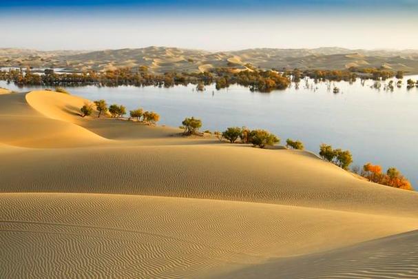 撒哈拉沙漠到底有多深如果把沙子全部挖光那底下还剩什么