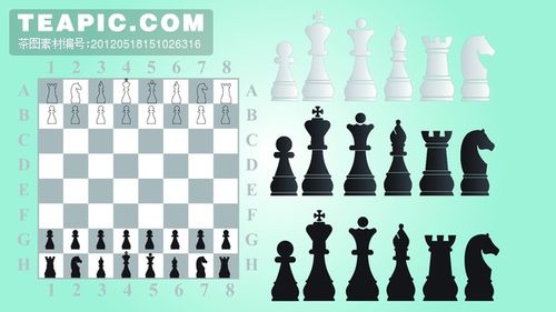 国际象棋黑白棋位置及名称