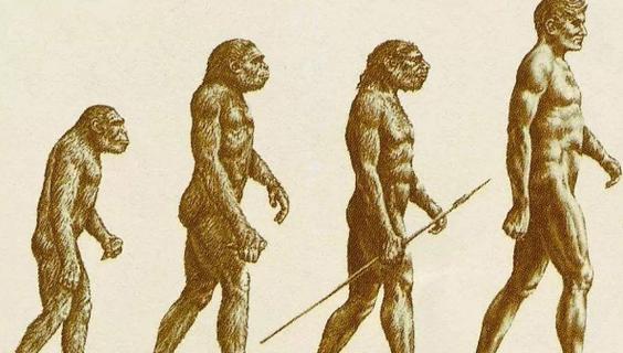 如果人类的祖先是猩猩,为什么更聪明的猿人却没有进化成人?
