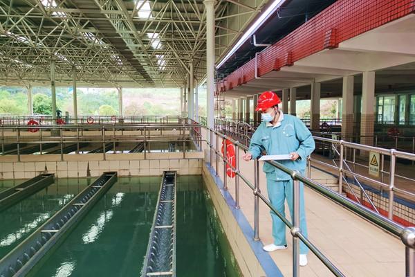 重庆水务集团全力保障供排水安全稳定