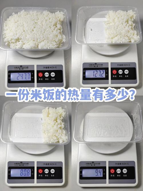 热量测评97 | 一份米饭的热量有多少?