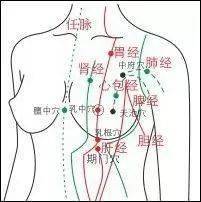 直接通过胸部的经络有9条!这样漂亮的胸,要不要定期做胸部保健,乳腺增