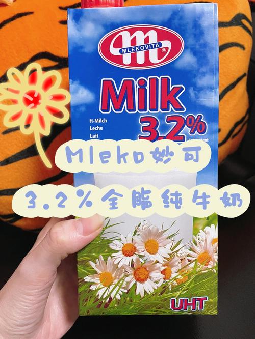牛奶翻译