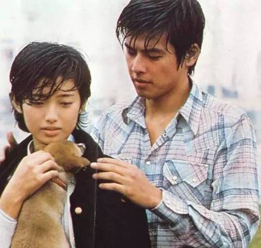 上世纪80年代在中国播出的日本电视剧《血疑》曾引发万人空巷的效应