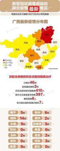 报告新型冠状病毒感染的肺炎新增确诊病例13例,其中南宁市4例,桂林