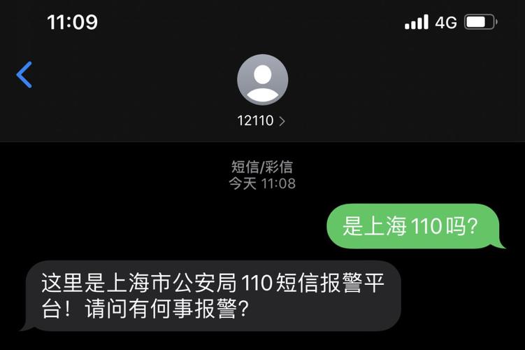 110宣传日报警时不便打电话不知道位置不精通中文怎么办