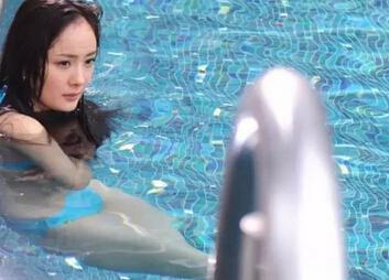 在电影《八星抱喜》中,身穿水蓝色泳装的杨幂在泳池中浅笑嬉戏.