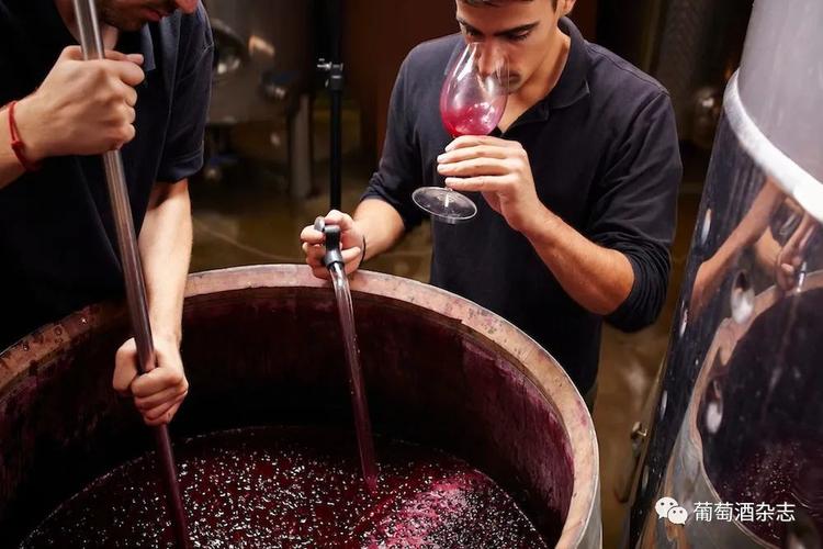 自己做葡萄酒发酵几天 自己做葡萄酒发酵多少天