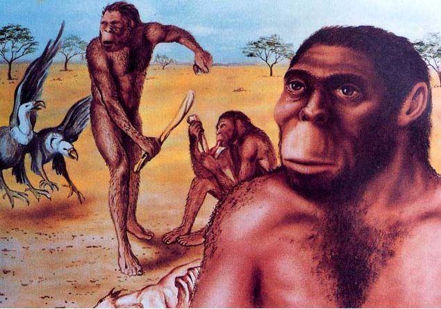 人类祖先出现在哪个地质年代