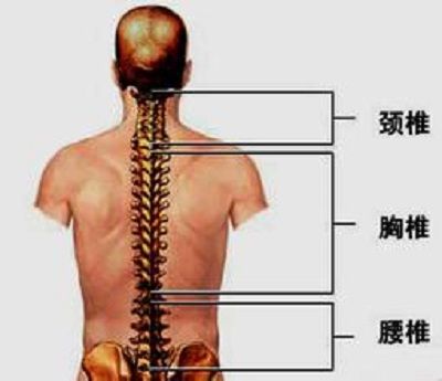详解 脊髓损伤康复目的及日常护理