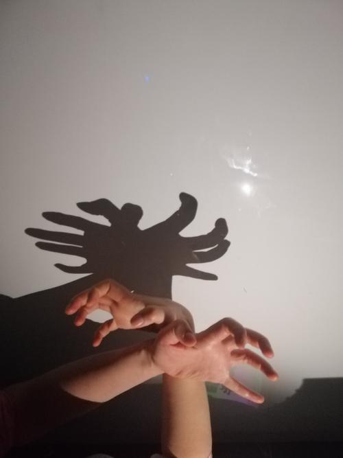 手指做动物影子图片