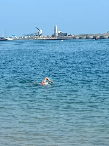 看!有人在大海中游泳!