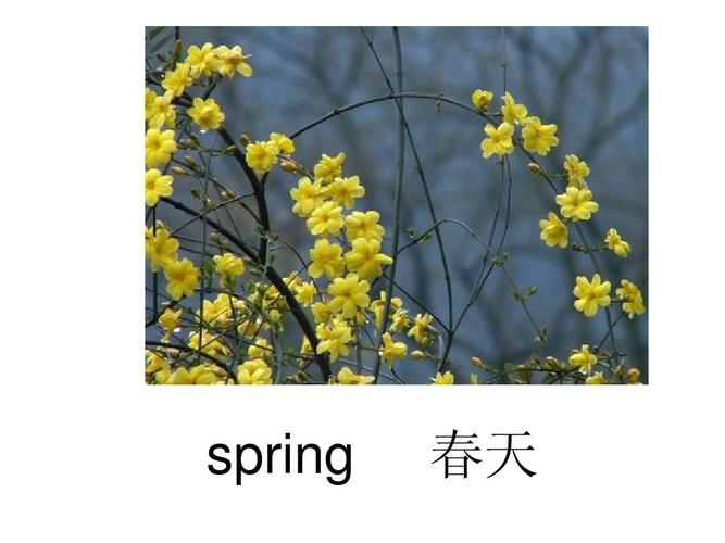 春天到冬天的英语单词怎么写