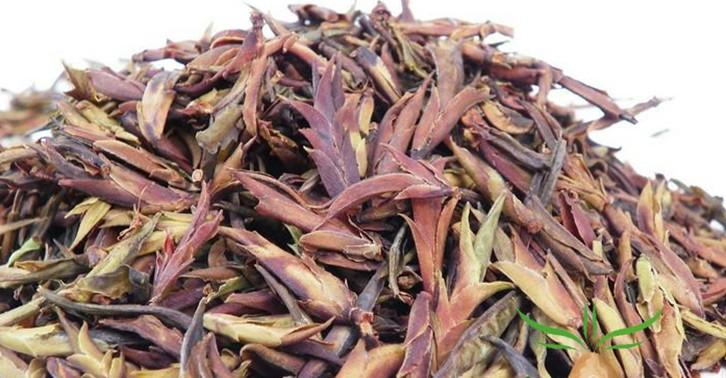 紫芽茶有哪些功效与作用 - 51普洱茶网