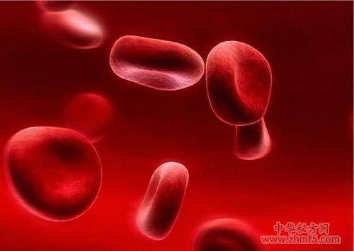 红细胞偏低怎么办特效中药偏方治疗红细胞偏低